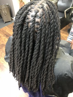 Locs Two Strands