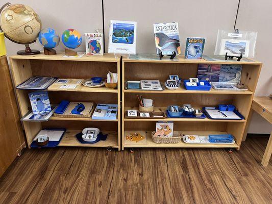 Montessori Cosmic shelves... the study of Antartica, whales and penguins