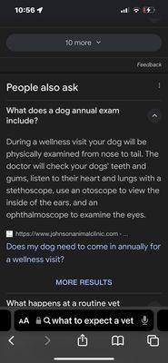 What to expect when you take your dog in for yearly examination.