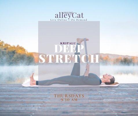 alleyCat Yoga