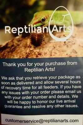 Reptilian Arts