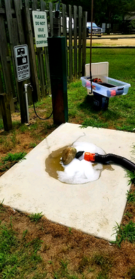 Pine Cone's BIOHAZARD Dump Station: Almost full when my husband lifted the lid & less than 5 seconds after starting the black tank, THIS!