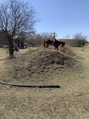 Mini trail ride in the back of property