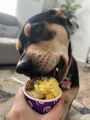 Pumpkin & cheese flavored ice cream!