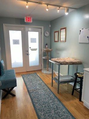 Separate cat exam room at Hampton Park Veterinary in Charleston, SC.