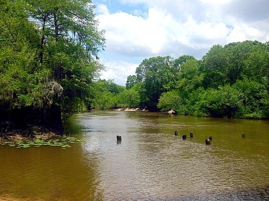 The Ogeechee River during the spring