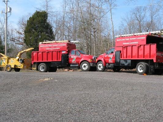 We have all the equipment to take care of your tree needs.