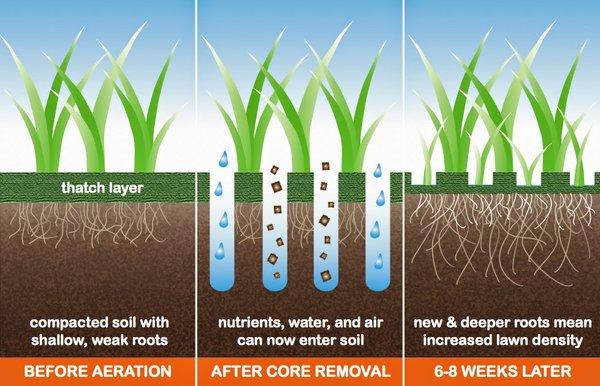 Aeration Nation