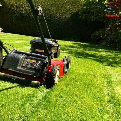 Lawn care.