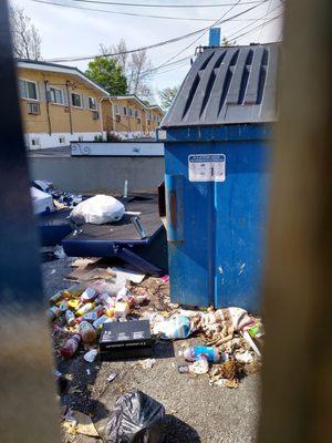 Here is what it often looks like around the dumpsters at Harmony Terrace. They shouldn't treat their residents this way. It's nasty!