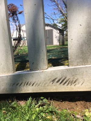 Lawn mower tire marks all along bottom of fence.