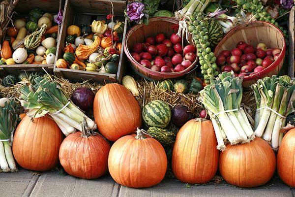 Your Neighborhood Farmers Market