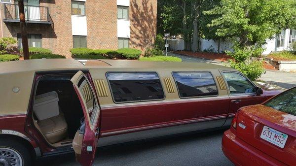 Birdone Limo