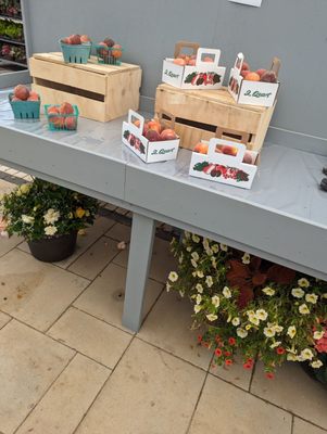 Fruit at Farmer's Market