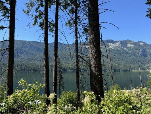 Lake Wenatchee from a bike stop.