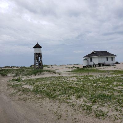 Wild horse tour in the sand dunes of Corolla.