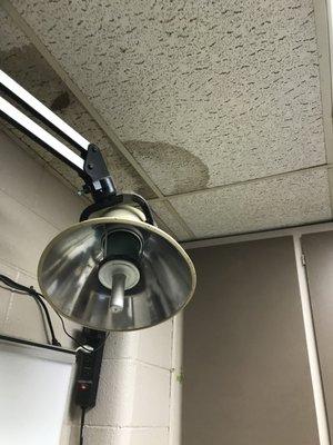 Water damaged ceiling