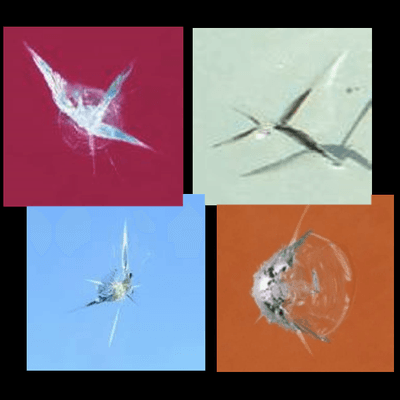 Examples of rock chips that are repairable.