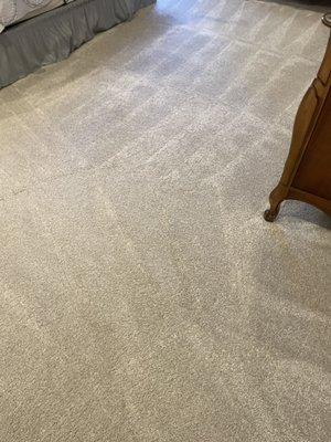 Carpet cleaning