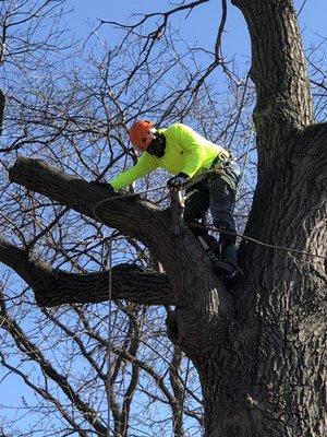 AAA Tree Care & Landscaping