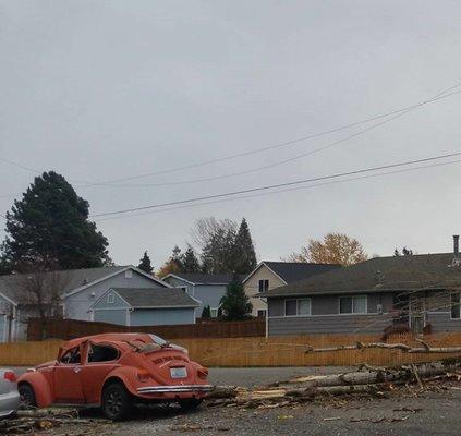 My neighbors rotten tree fell on our new car. The neighbor had 4 other giant trees that were the same so we called Cloudy Sky Tree Service