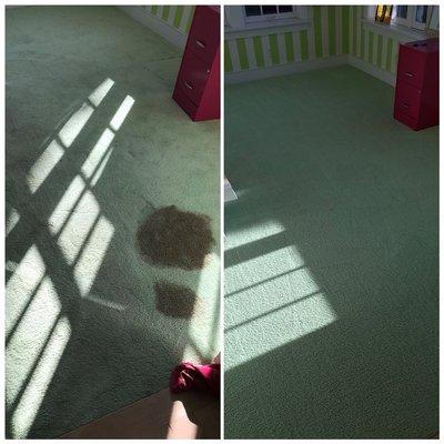 Before & after carpets looked brand new again