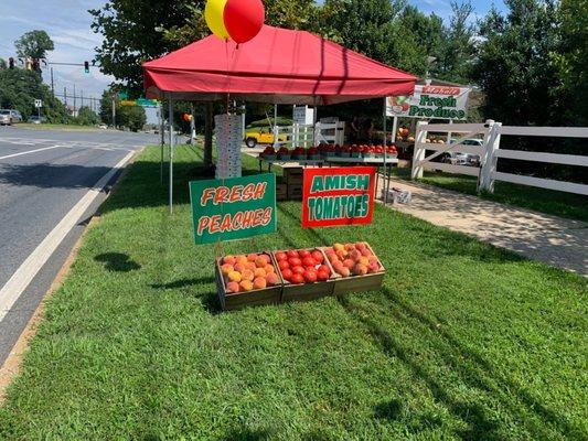 Fresh Produce, peaches, tomatoes, cantaloupe