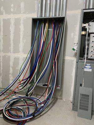 This panel was just about perfect and it was the least damaged wire in the entire room they had us working in