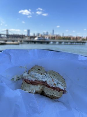 #15. Fresh Lox Specialty Sandwich (lox, cream cheese, tomatoes, onions, everything bagel)