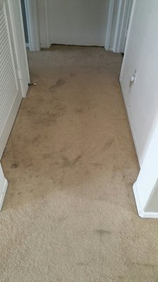 My hallway before.  See all the grease stains?