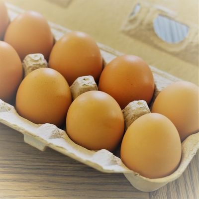 Pasture-raised Extra Large Grade A eggs from Wormuth Farm taste delicious.