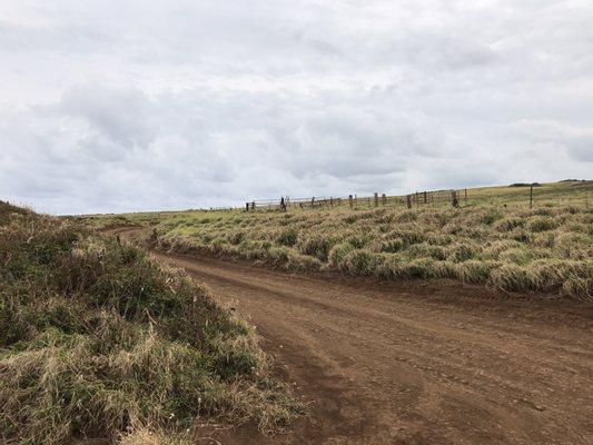 Dirt roads require four wheel drive