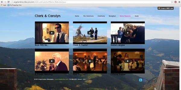 I now offer customized wedding video websites and hosting! It's your DVD on a password protected website to easily share. :-)