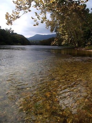 view from The Country Place River Front Campground