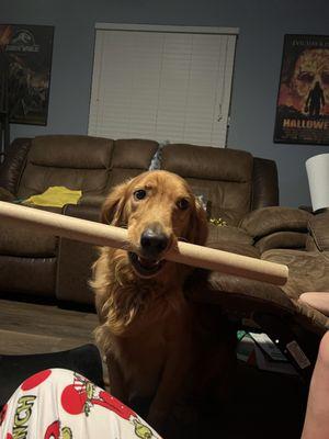 Lt.  helping us wrap for Christmas