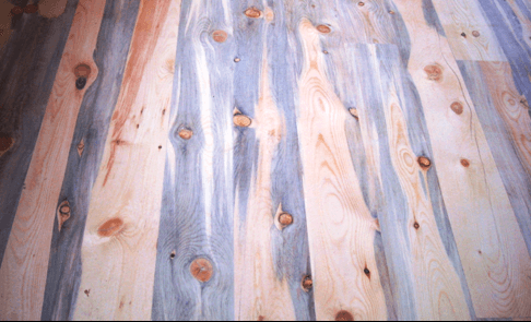 Colorado 'Blue Pine' - Salvaged & Reclaimed Beetle Killed Wood Products: Beautiful, Unique, and Affordable