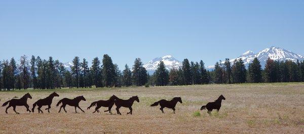 Live Life In Central Oregon