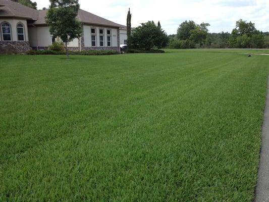 Whether you have a 45,000 Sq.Ft. lawn, or a 5,000 Sq.Ft; the results will always remain the same!