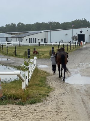 Walking Tide down to the indoor arena!