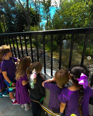 Our Spanish preschoolers had a deer sighting on their morning walk!