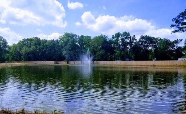 Our Private Pond