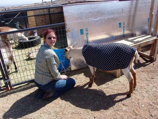 The Polka Dot Goat Coat that named the business~ Polka Goat Farm LLC