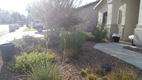 Before (hoa violation )