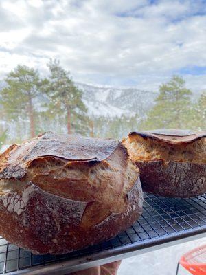 Fresh loaves