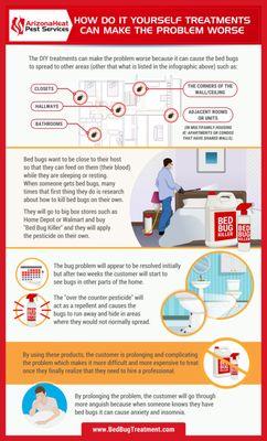 Bed bug treatment advice infographic