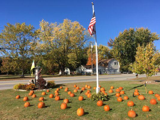 Locally grown pumpkins.