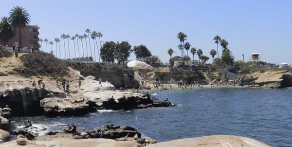 Down the road from La Jolla Cove