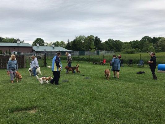 Premier Boarding Kennel