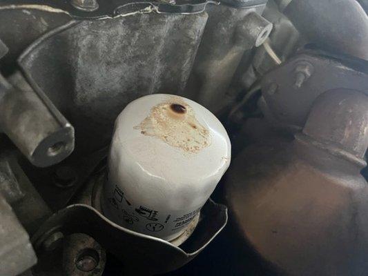 Oil filter leaking after change but they apparently did nothing wrong.