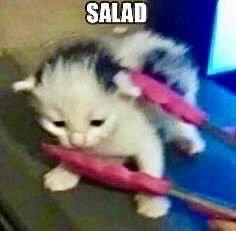 Salad, new tongs, new haircut